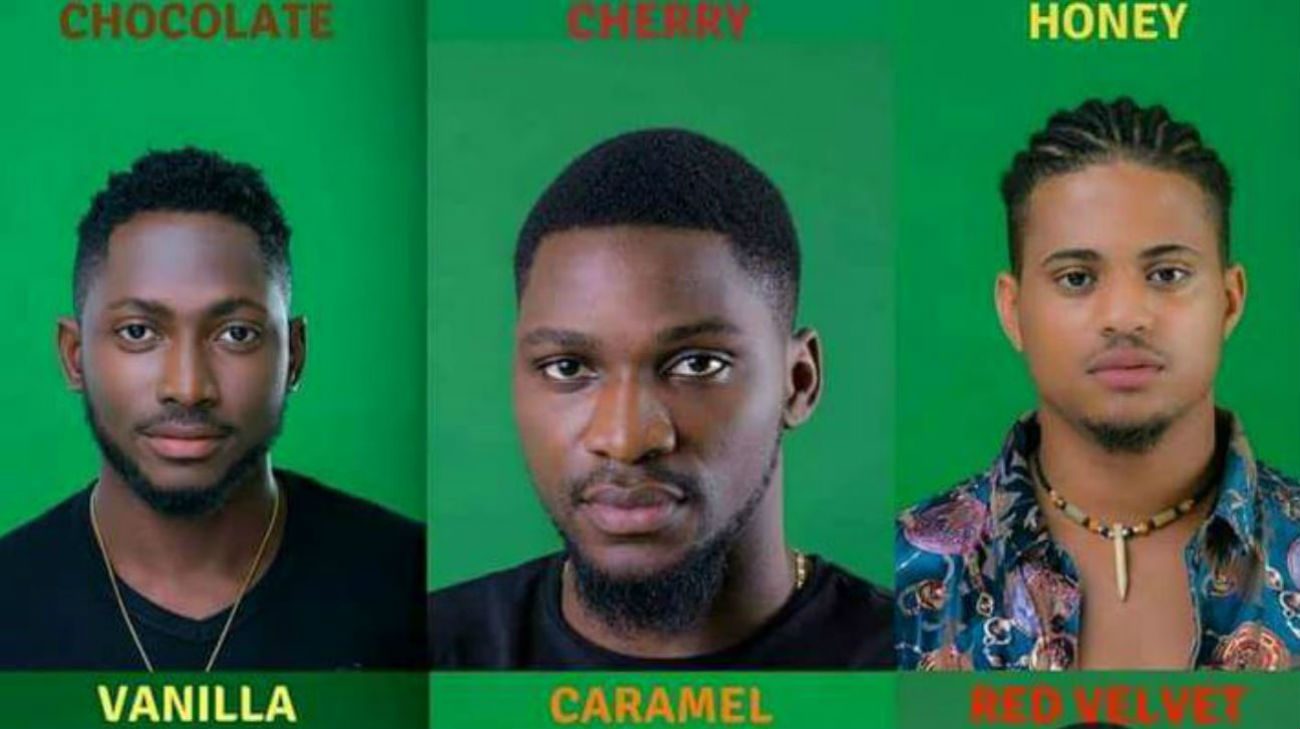 Big Brother Naija Housemates