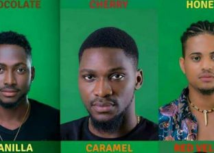 Big Brother Naija Housemates