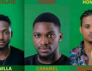 Big Brother Naija Housemates