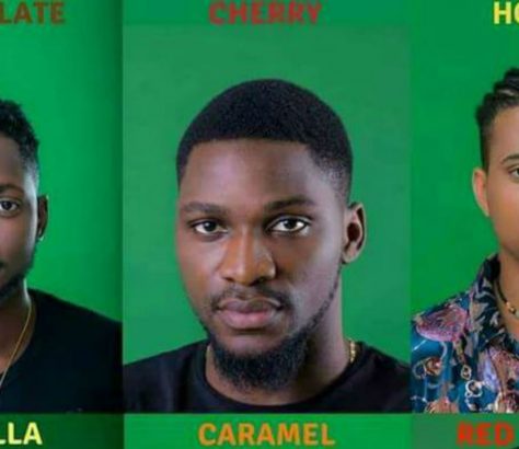 Big Brother Naija Housemates
