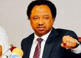 Monkey Stole N70 Million
