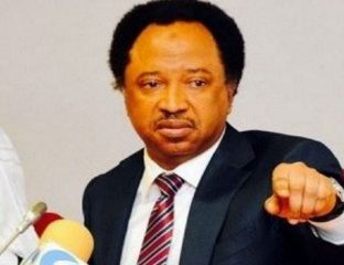 Monkey Stole N70 Million