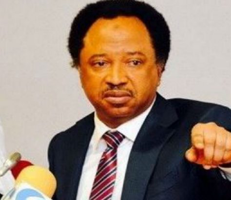 Monkey Stole N70 Million