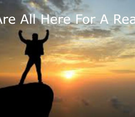 Here For A Reason